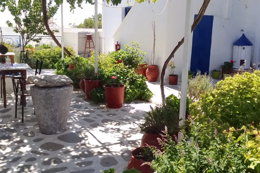 POLITIMI'S STUDIOS