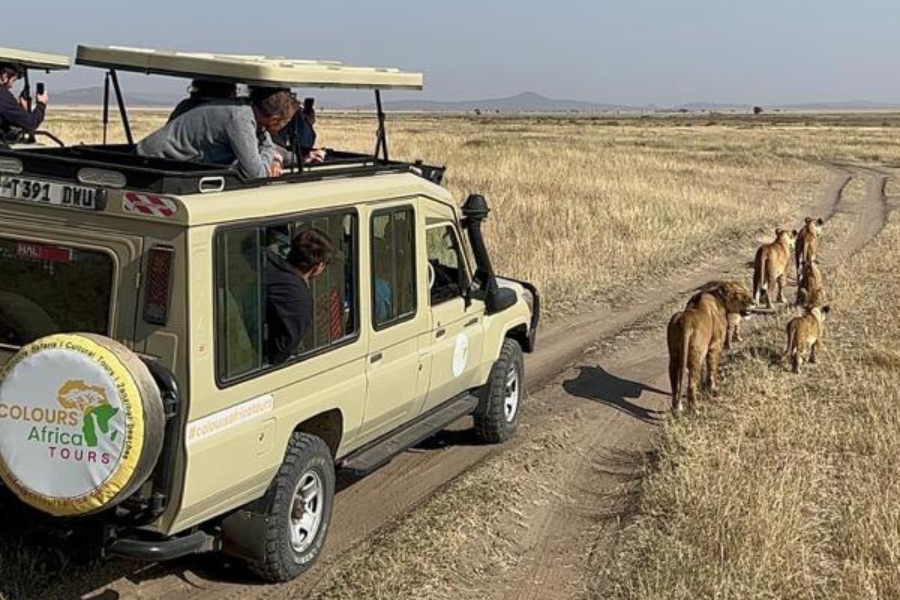 Serengeti National Park - ©Colours Africa Tours