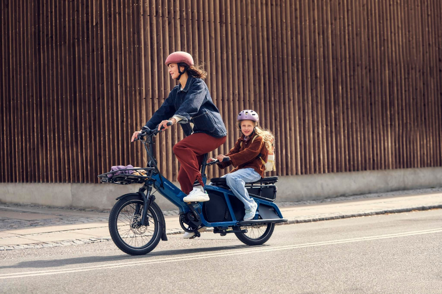 EVOLUTION CYCLES