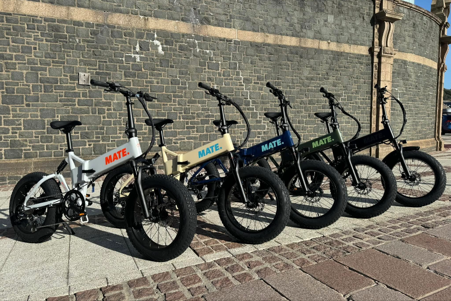 EVOLUTION CYCLES