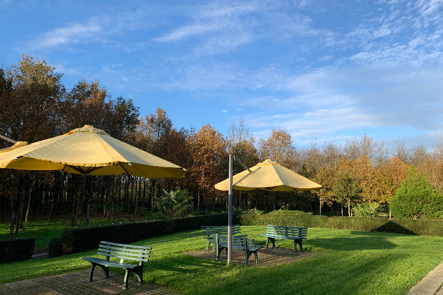 La Grenouillère - terrasse à l'arrière de l'hôtel - ©Laetitia Steimetz