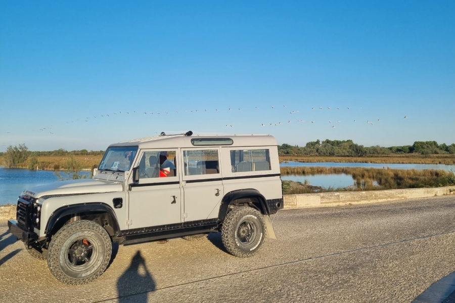  - ©SAFARI CAMARGUE PASSION