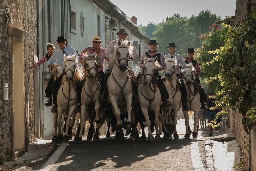 SAFARI CAMARGUE PASSION