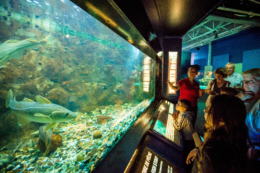 Visite guidée aquarium - ©Jérôme Landry