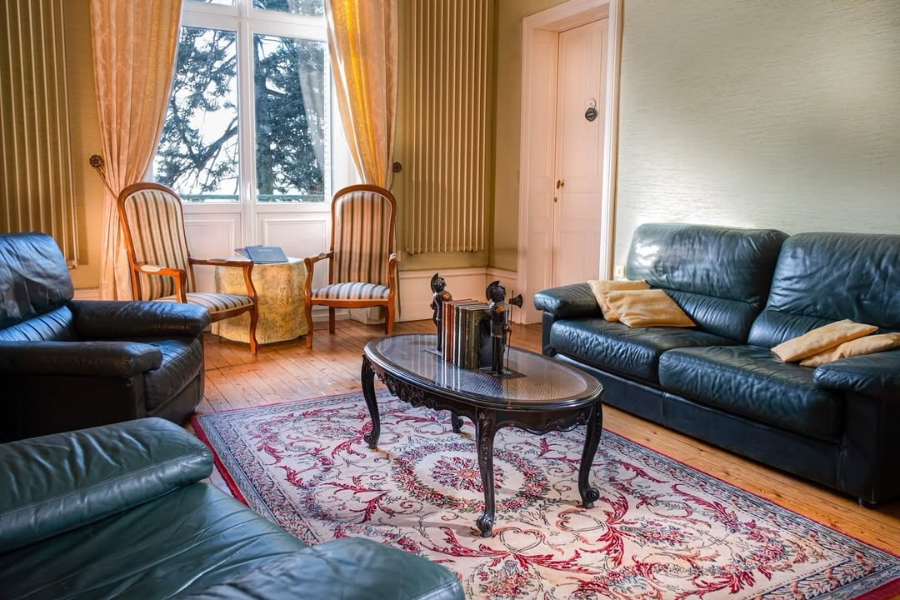 LE CHATEAU DES TOURELLES EN VENDEE