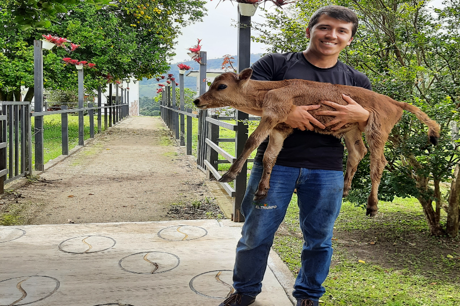 AMOR POR LOS ANIMALES - ©HOTEL CAMPESTRE EL TRIUNFO