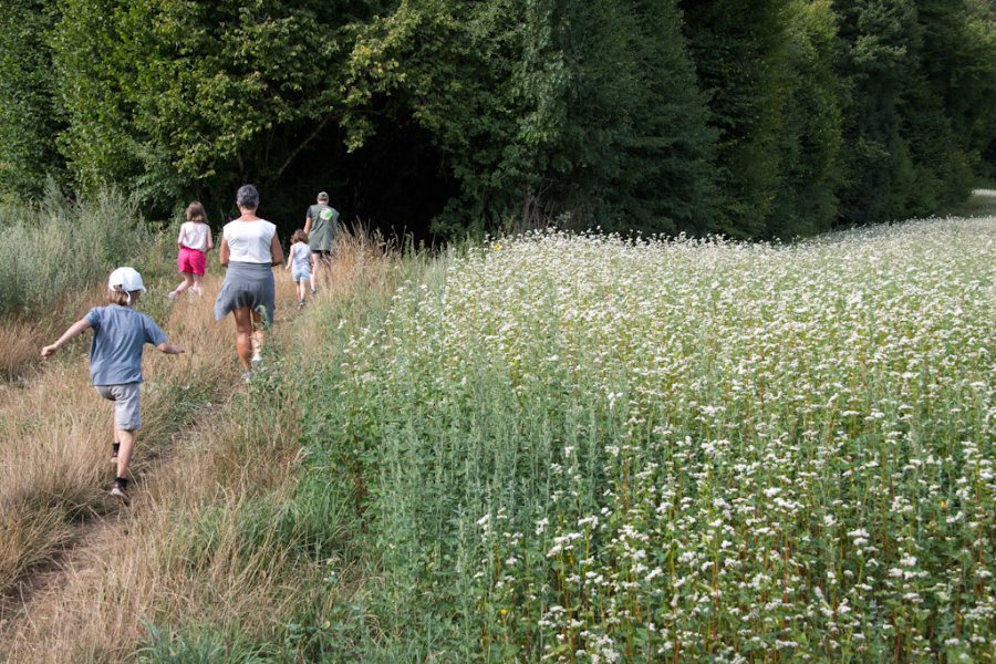 PARC NATIONAL DE FORÊTS