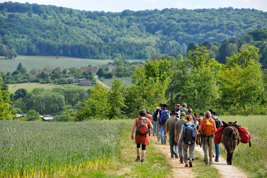 PARC NATIONAL DE FORÊTS