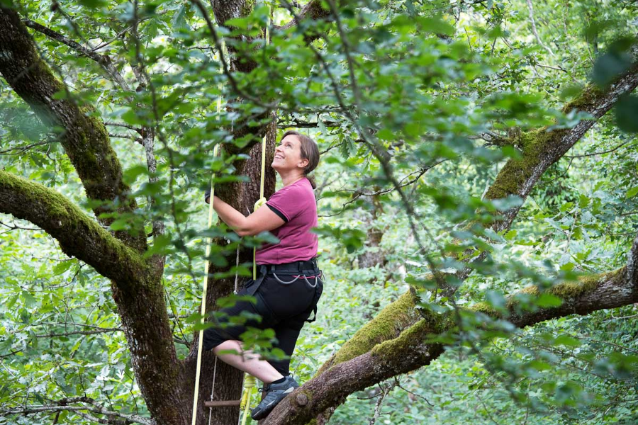 PARC NATIONAL DE FORÊTS