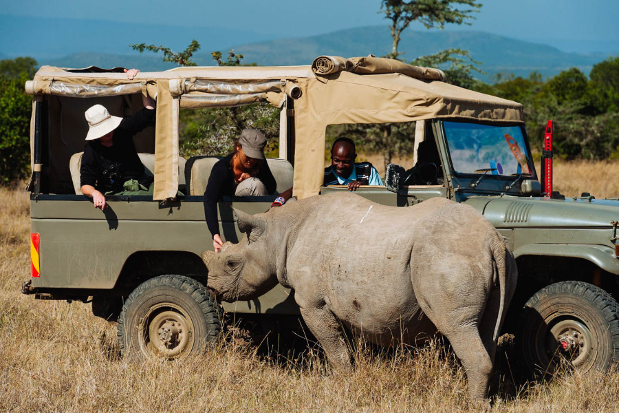SVAI LUXE ESCAPES LTD