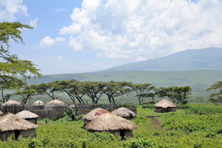 SVAI LUXE ESCAPES LTD
