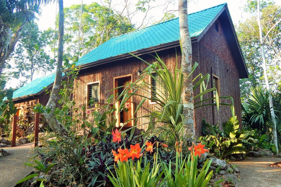 MARIPOSA JUNGLE LODGE
