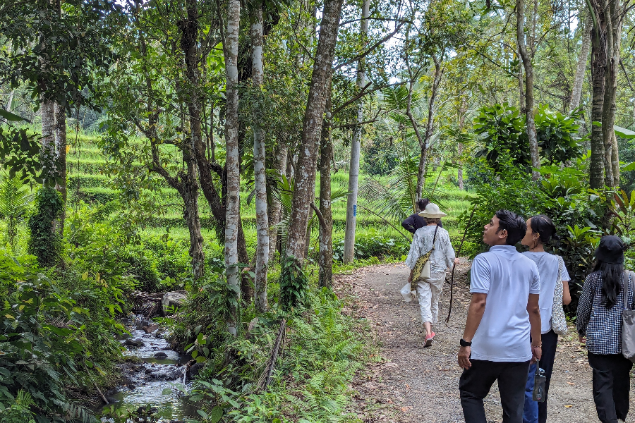 Puri Dajuma Terrace