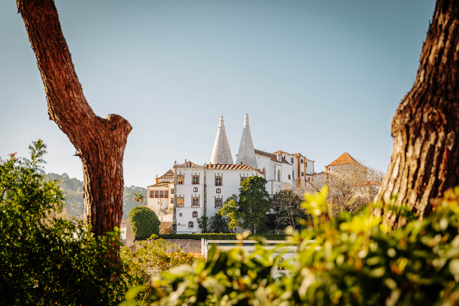 Palacio Nacional de Sintra - ©PSML-BY