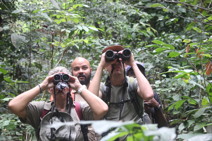 Observation de la faune en forêt - ©Koussou Travel Agency