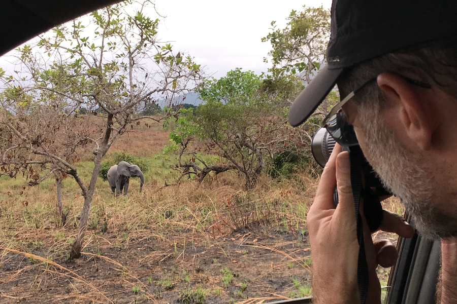 Observation d'éléphant au parc national de la Lopé - ©Koussou Travel Agency