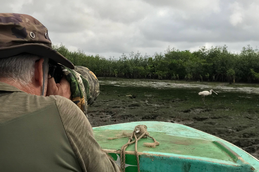 Observation ornithologique dans l'estuaire du Komo - ©Koussou Travel Agency