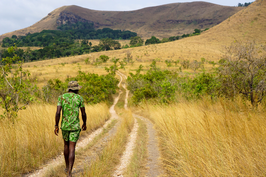 Ascension du Mont Brazza au parc national de la Lopé - ©Koussou Travel Agency