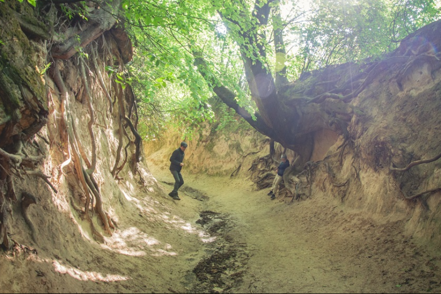 The Land of Loess Gorges - ©Lublin Regional Tourist Organisation