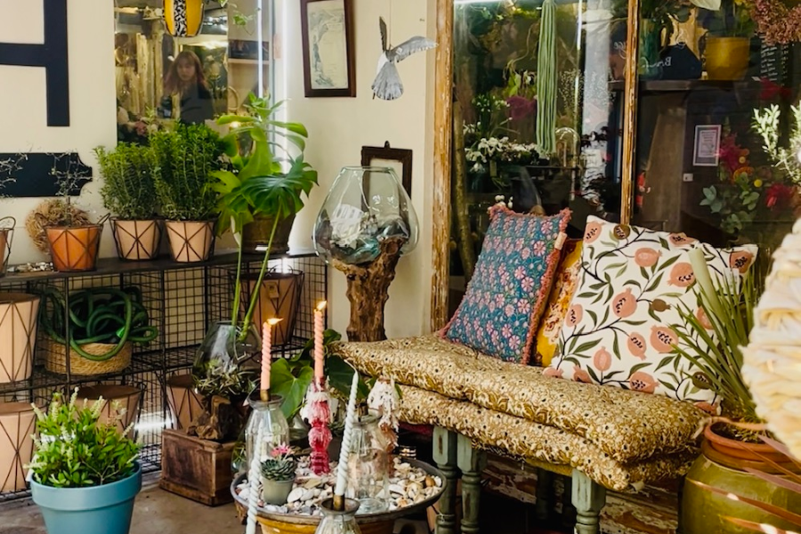 Plantes, mobilier, déco...