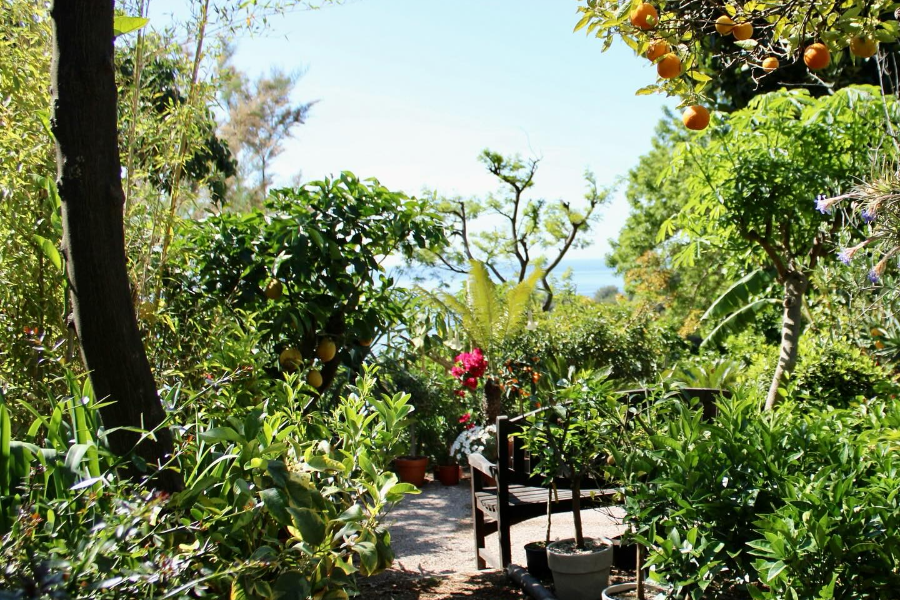 DOMAINE GANNAC