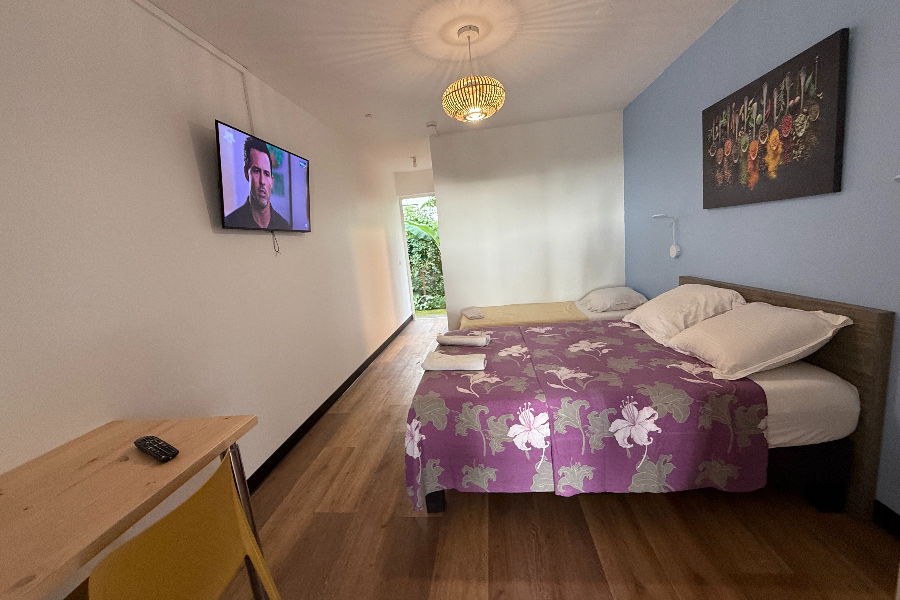 LA CHAMBRE GERBERA 1 AVEC SANITAIRES PRIVÉES ET TERRASSE