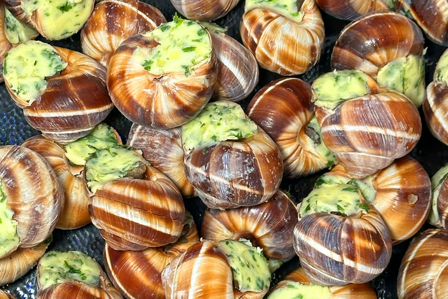 SALAISONS DES ROYATS