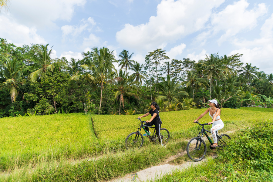 CYCLING TOUR