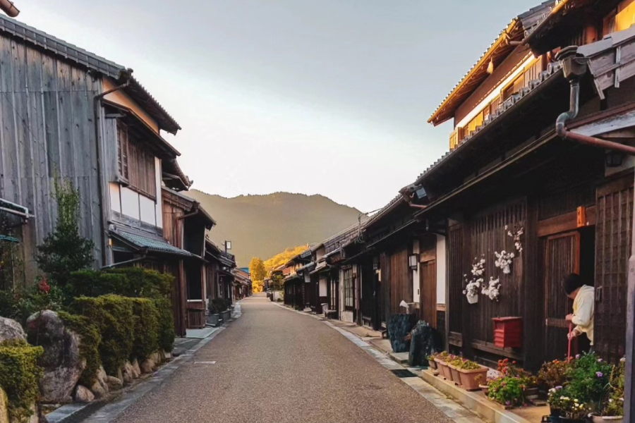 MOMIJI TRAVEL