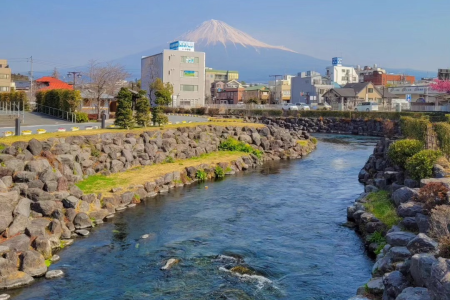 MOMIJI TRAVEL