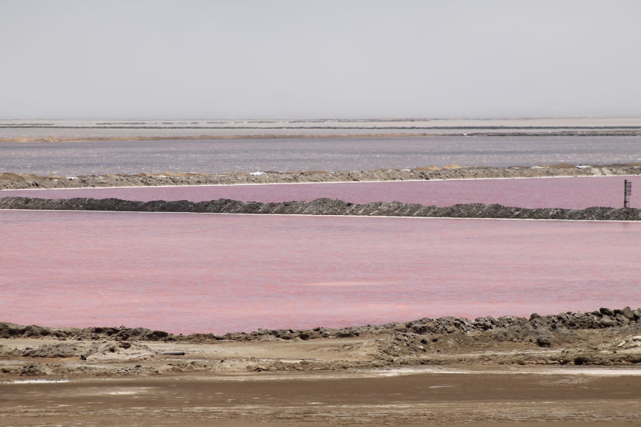 Pink salt lakes - ©MC Tours