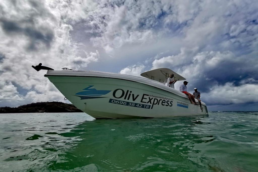 OLIV EXPRESS - ©OLIV EXPRESS