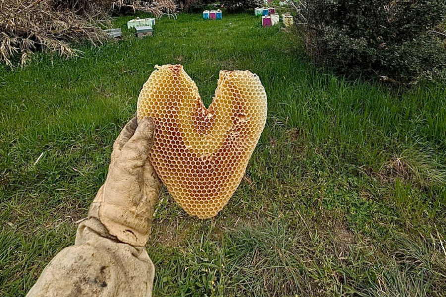Coeur de cire sculté par la magie de nos abeilles