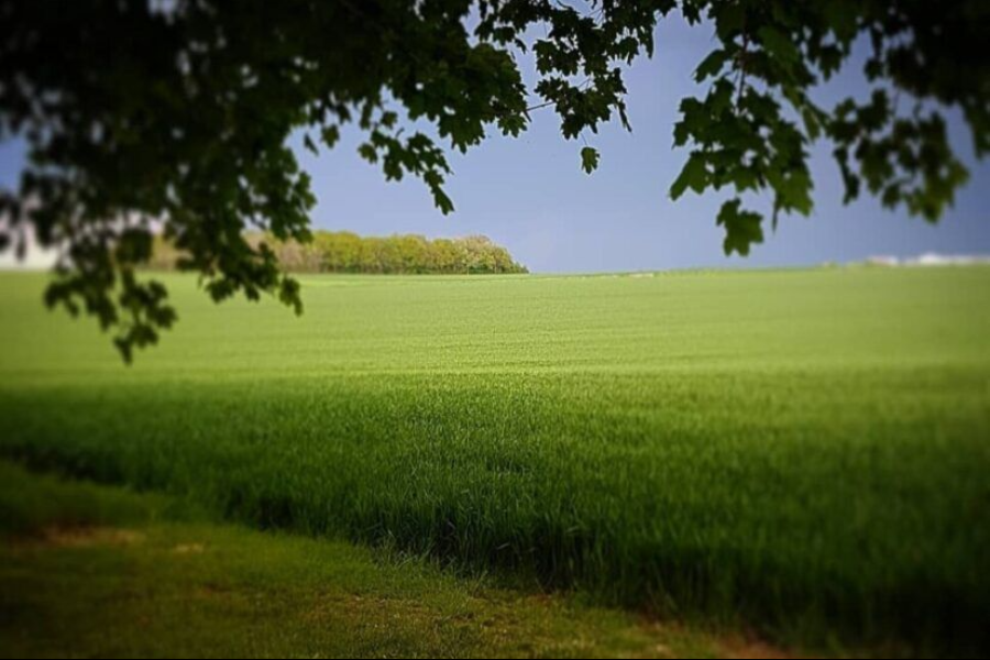 Au calme sans voisins - ©Les Gites du Berry