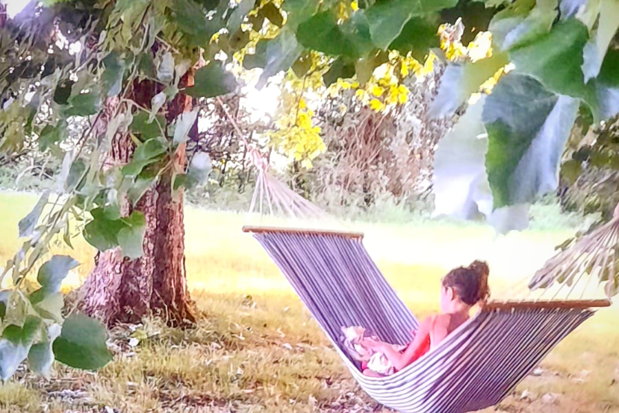 Dans le jardin des oiseaux - ©Les Gites du Berry