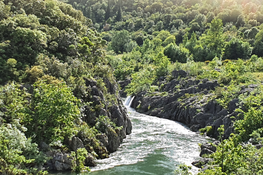 Gorge de l'Hérault - ©Alamaisondesophie