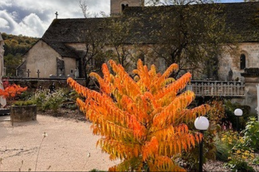 L'Auberge du Molveau - le jardin en automne - ©Pauline van der Veeken