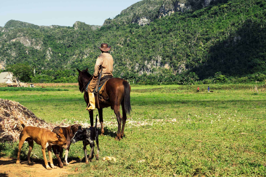 Vallée de Viñales - ©CUBA AUTREMENT