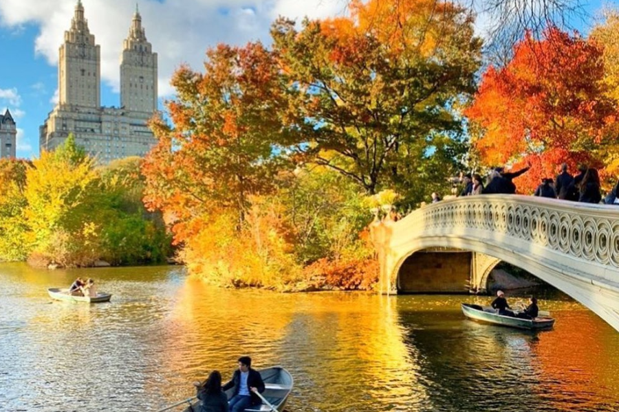 Central Park en automne - ©Mad Tours & Events