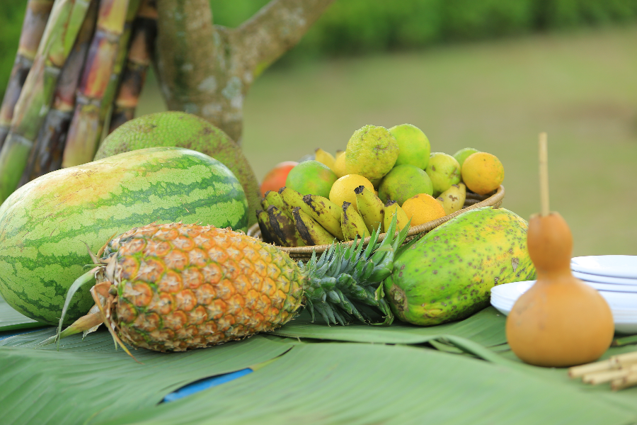 Organic fruits while on a full day farm tour - ©Pamoja Safaris Uganda