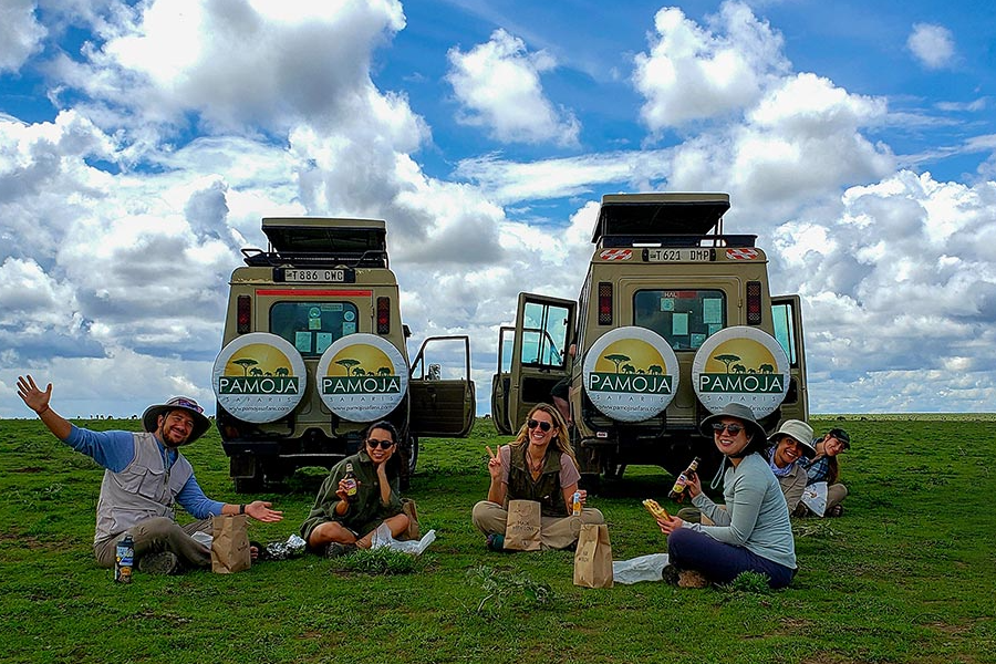 Picnic lunch in Serengeti National Park - ©Pamoja Safaris