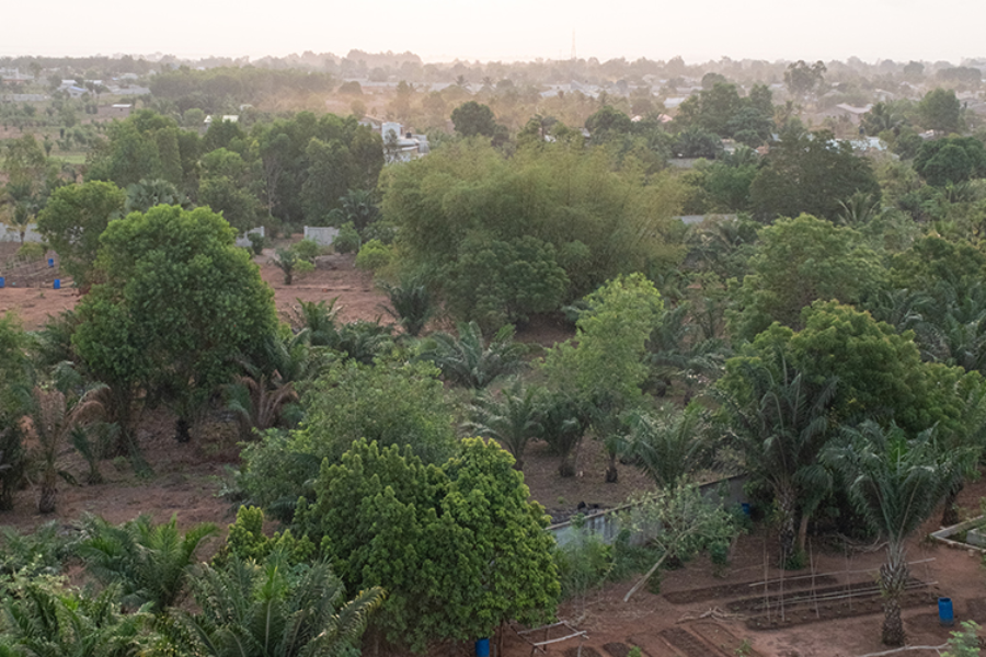 Vue sur le jardin maraîcher agro-écologique, possibilités de ballades sur 10 hectares - ©CSD