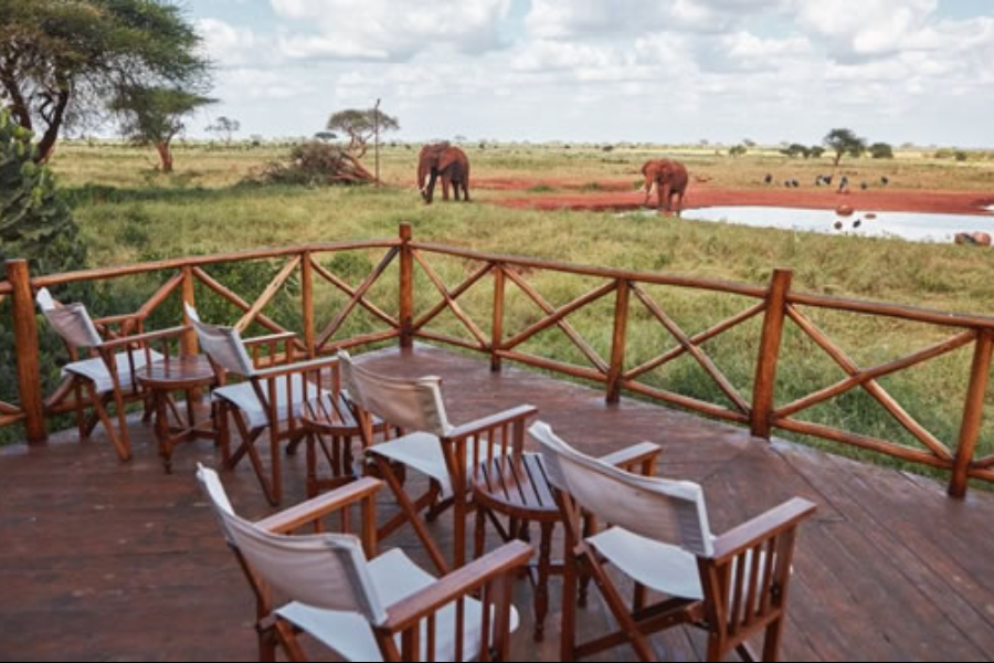 Ngutuni Lodge - ©Diani Wilderness Safaris