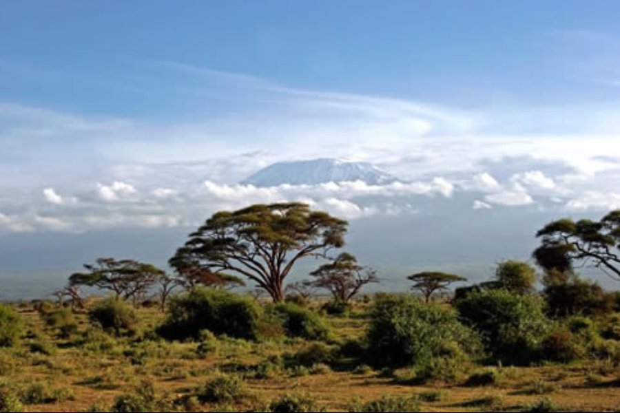 Tsavo - ©Diani Wilderness Safaris