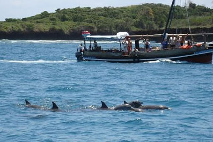 Wasini - ©Diani Wilderness Safaris