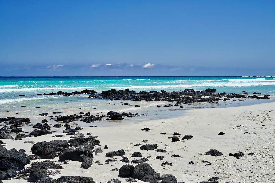 Tortuga bay aux Galapagos - ©Visiting Galapagos