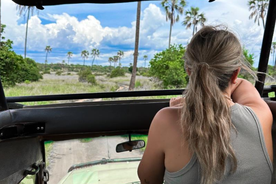 BEST VIEW OPEN ROOF SAFARI JEEP - ©OWNER