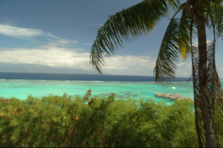 Franckyfranck Moorea Tours - ©Franckyfranck Moorea Tours