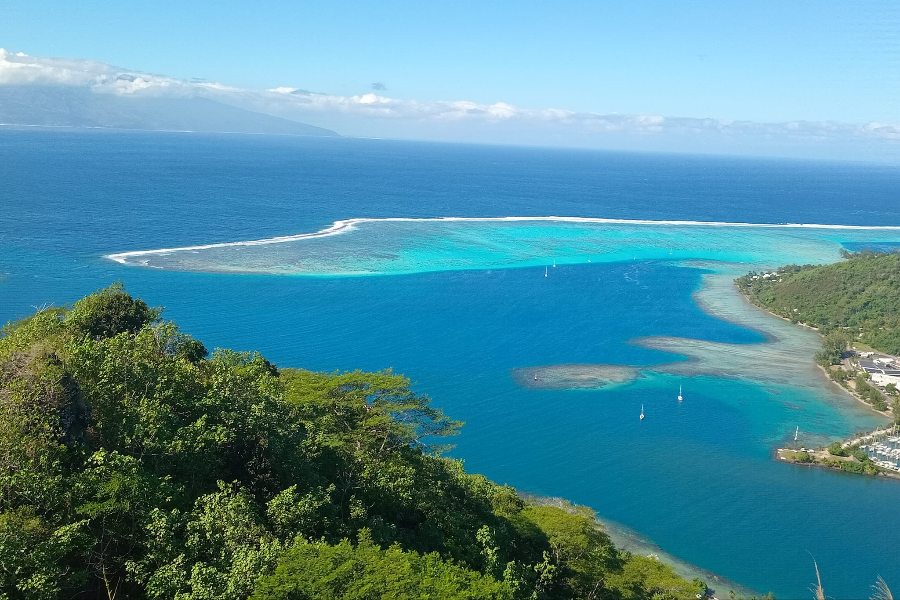  - ©MOOREA ECO ADVENTURE