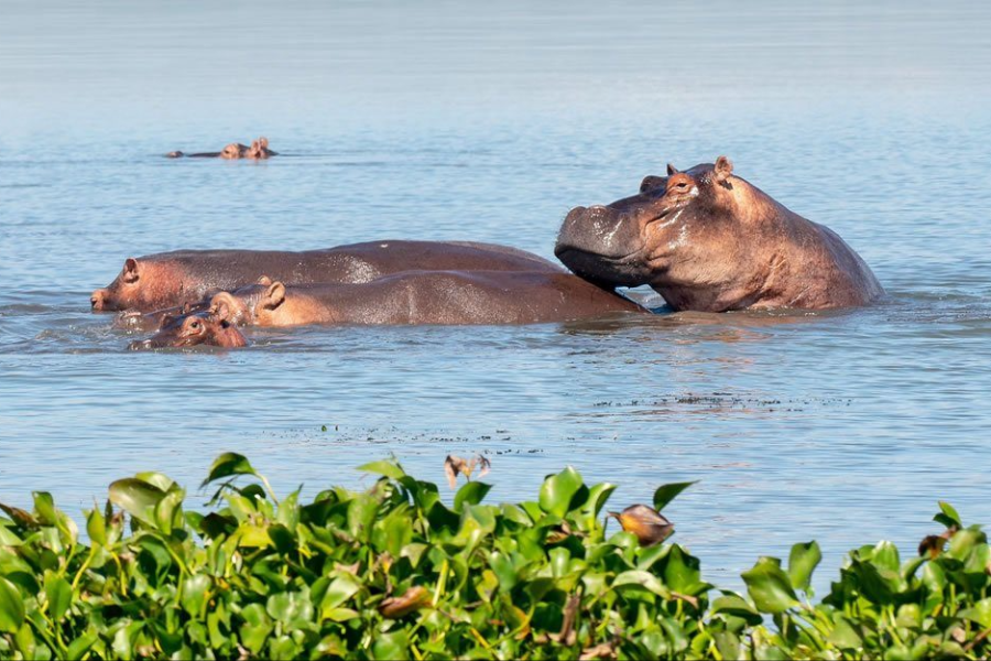  - ©WILD TUSKER SAFARIS